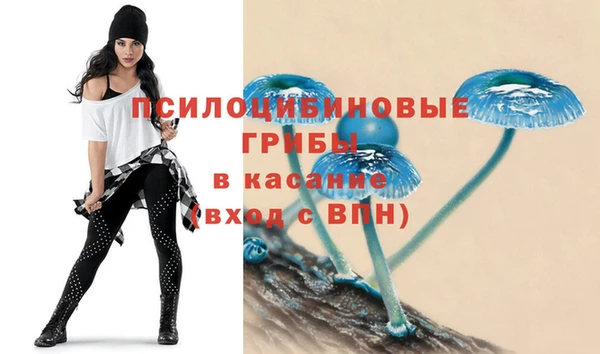 бутират Алзамай