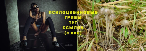 бутират Алзамай