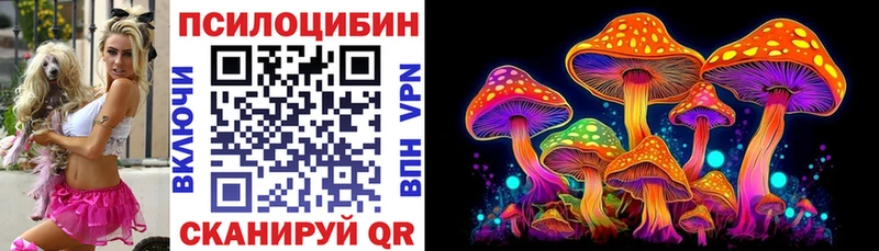 Галлюциногенные грибы Psilocybe  Соликамск 